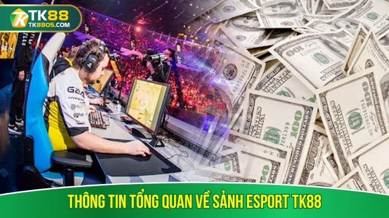 Thông tin tổng quan về sảnh Esport TK88 Thông tin tổng quan về sảnh Esport TK88